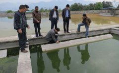 環(huán)保專項(xiàng)資金投入巨大環(huán)境問題猶存 環(huán)保專項(xiàng)資金投入巨大環(huán)境問題猶存