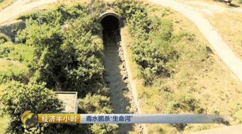 長(zhǎng)江水污染